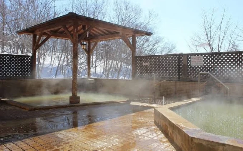 Niseko Grand Hotel at Konbu Onsen below the Annupuri base, shuttle-access lodging near the Niseko ski areas