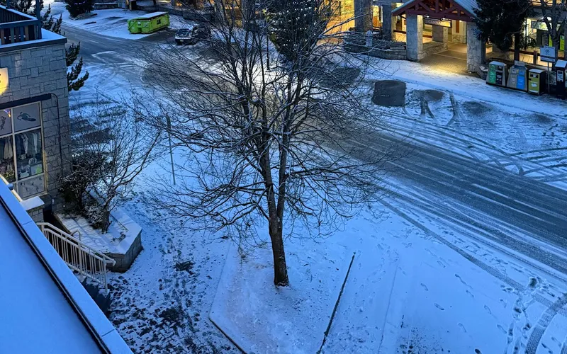 Summit Lodge Boutique Hotel in Village North, which runs a free shuttle to the Whistler gondolas